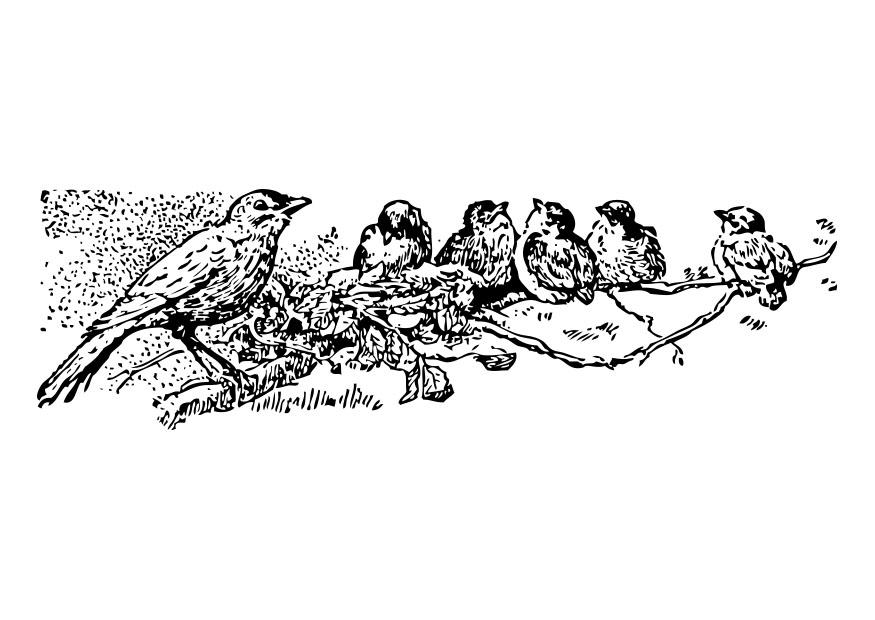 vogels - moeder met jongen Kleurplaat vogels - moeder met jongen