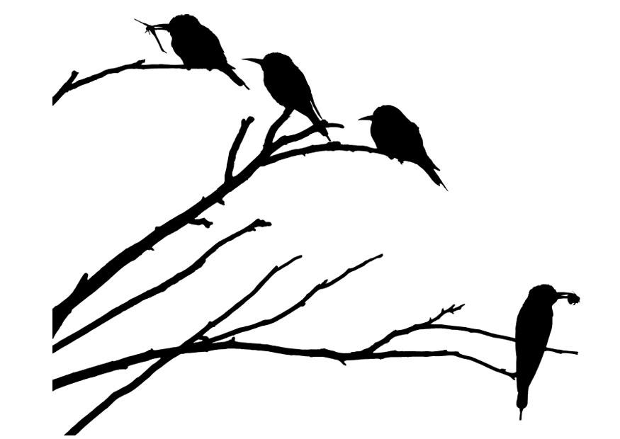 Kleurplaat vogels op tak