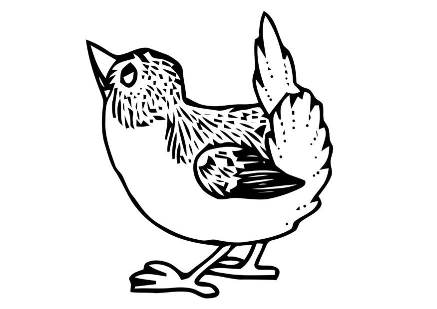 vogeltje Kleurplaat vogeltje
