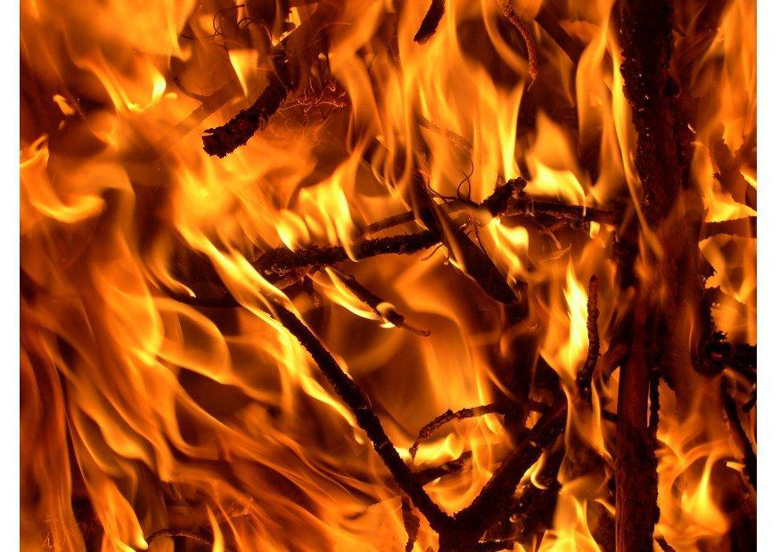 vuur - brand Foto vuur - brand