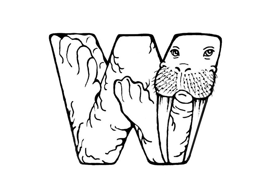 w-walrus Kleurplaat w-walrus