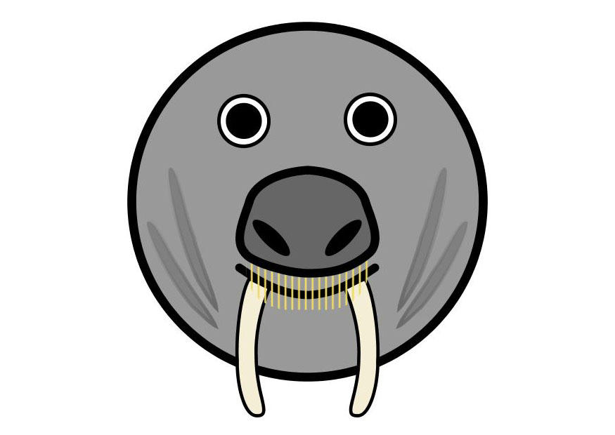 r1 - walrus Afbeelding r1 - walrus