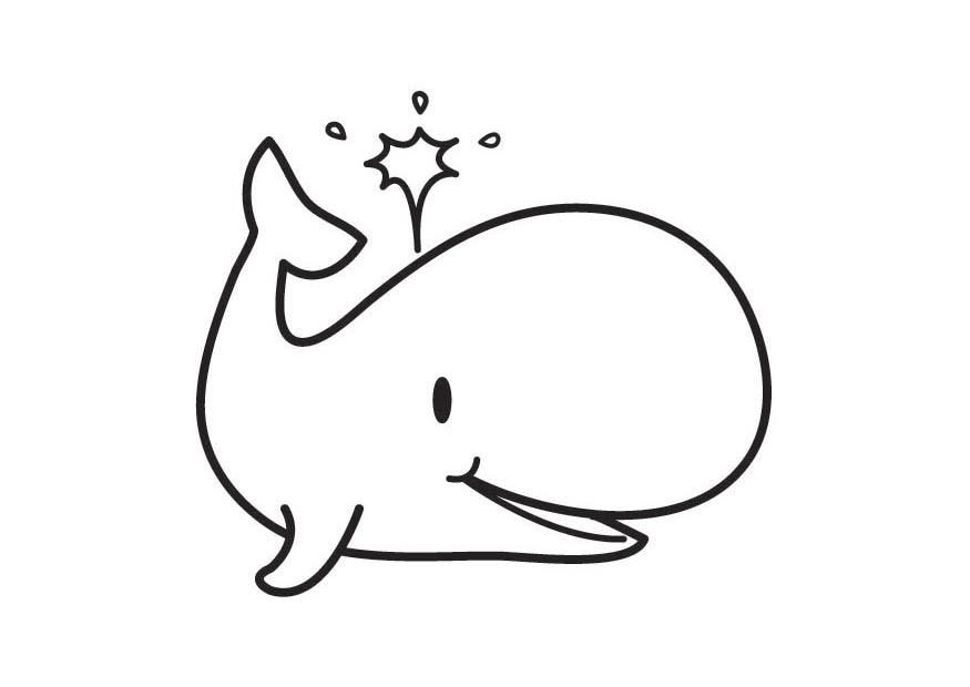 walvis Kleurplaat walvis
