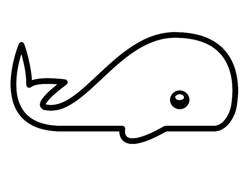 walvis Kleurplaat walvis