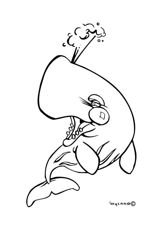 walvis Kleurplaat walvis