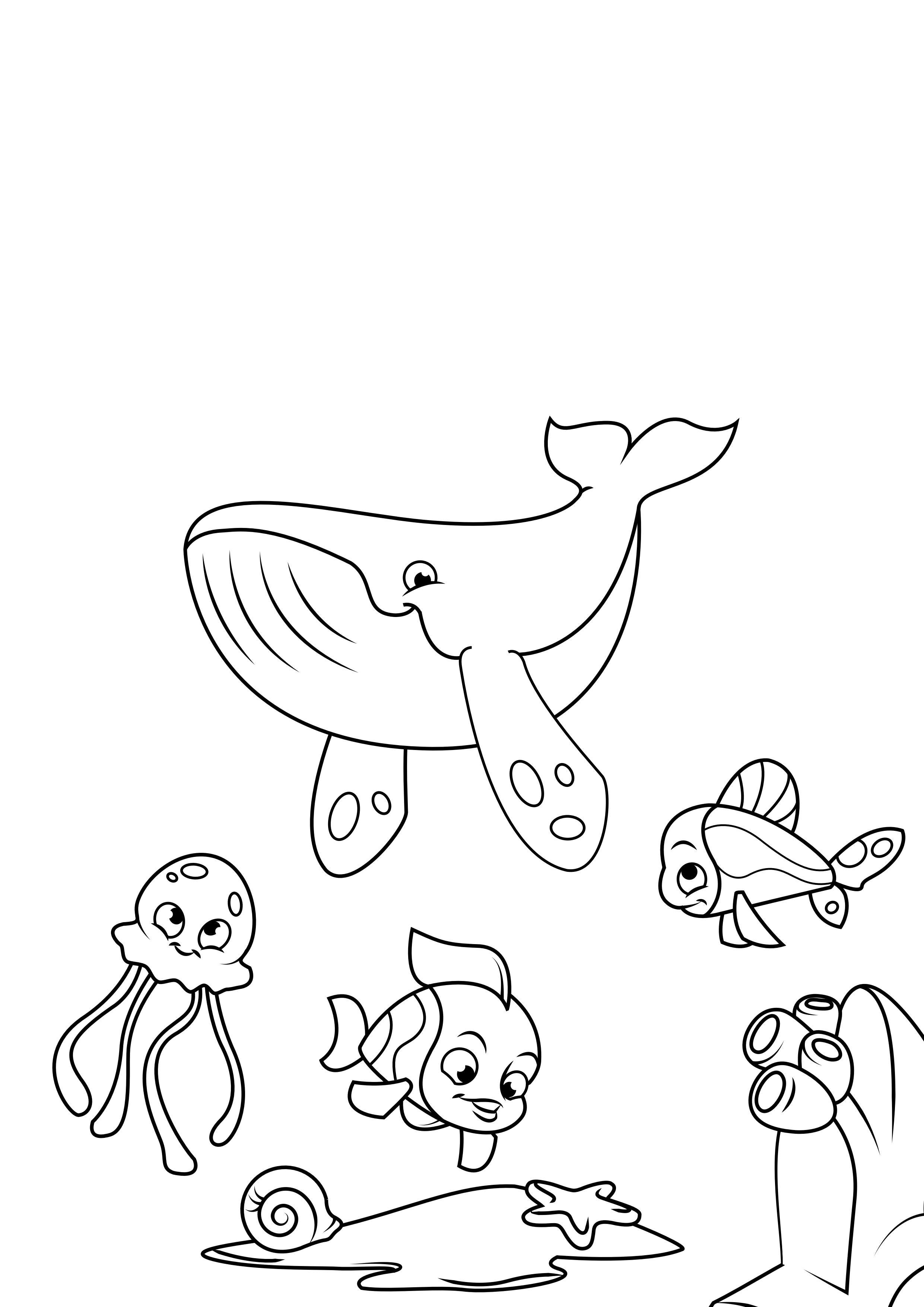 walvis octopus en vis Kleurplaat walvis octopus en vis