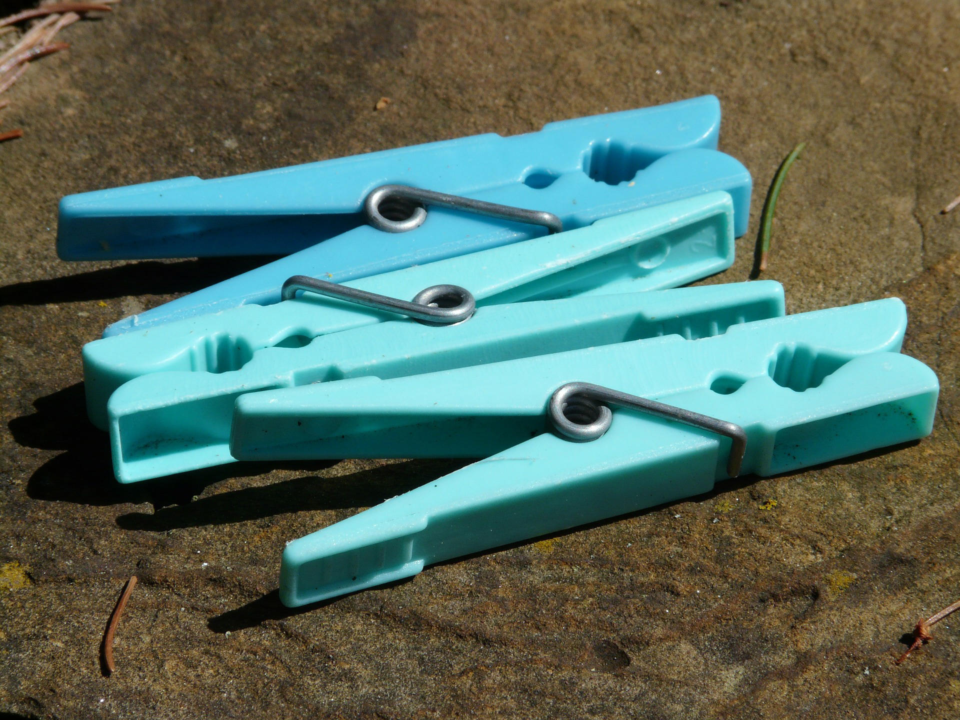 wasknijpers Foto wasknijpers