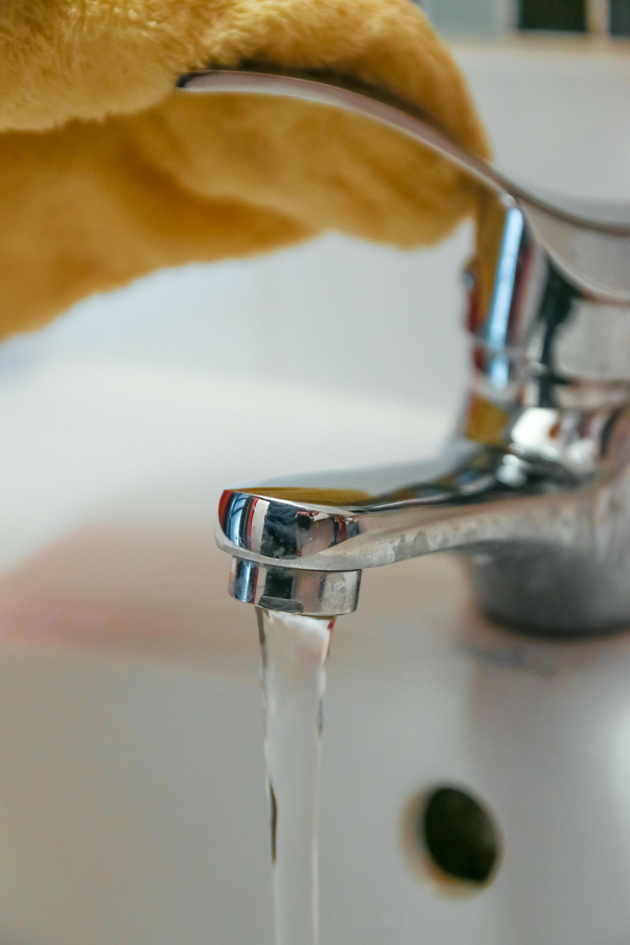 wassen Foto wassen
