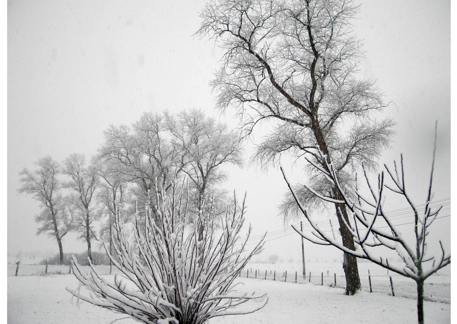 winter Foto winter