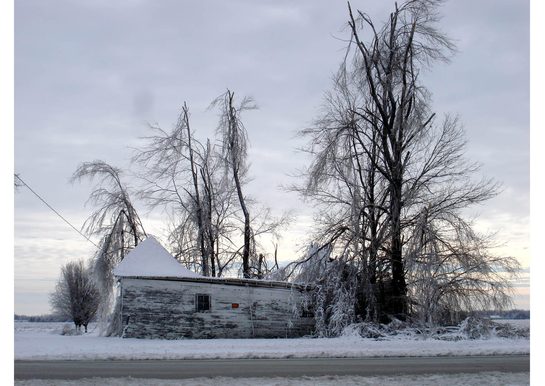 winter Foto winter