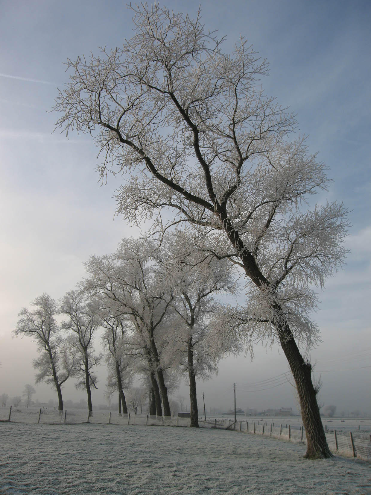 winter Foto winter