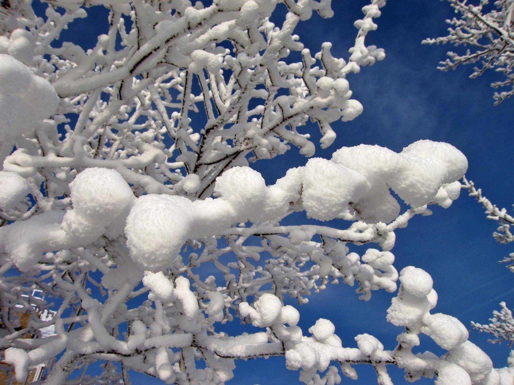 winter Foto winter