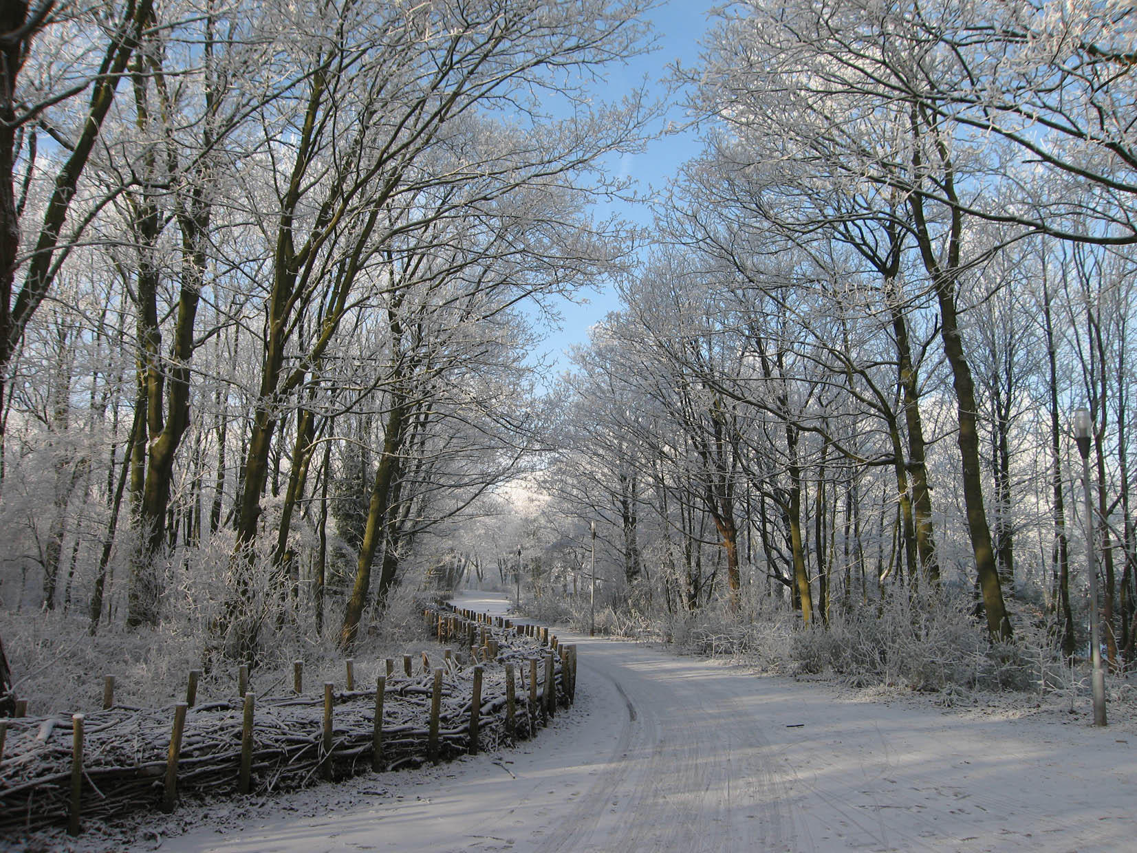 winter Foto winter