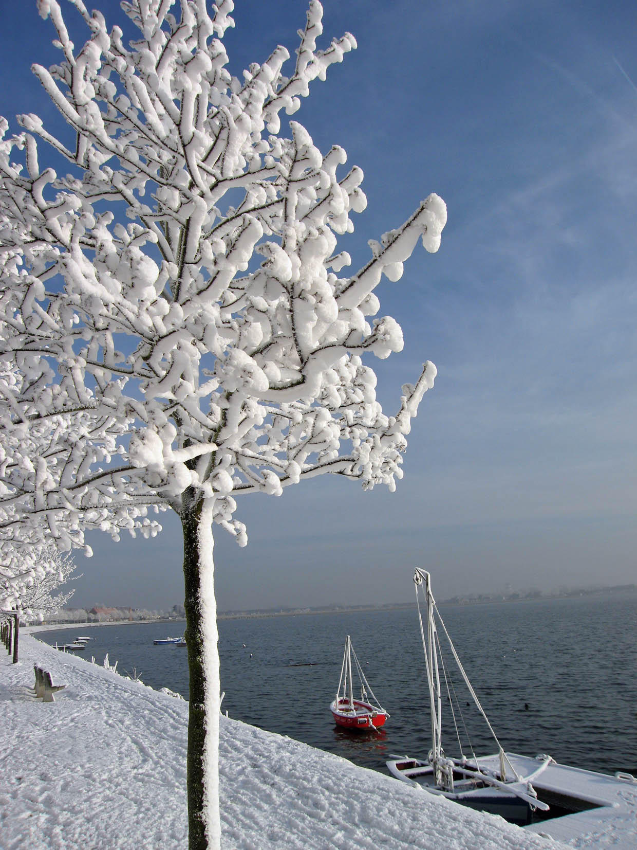 winter Foto winter