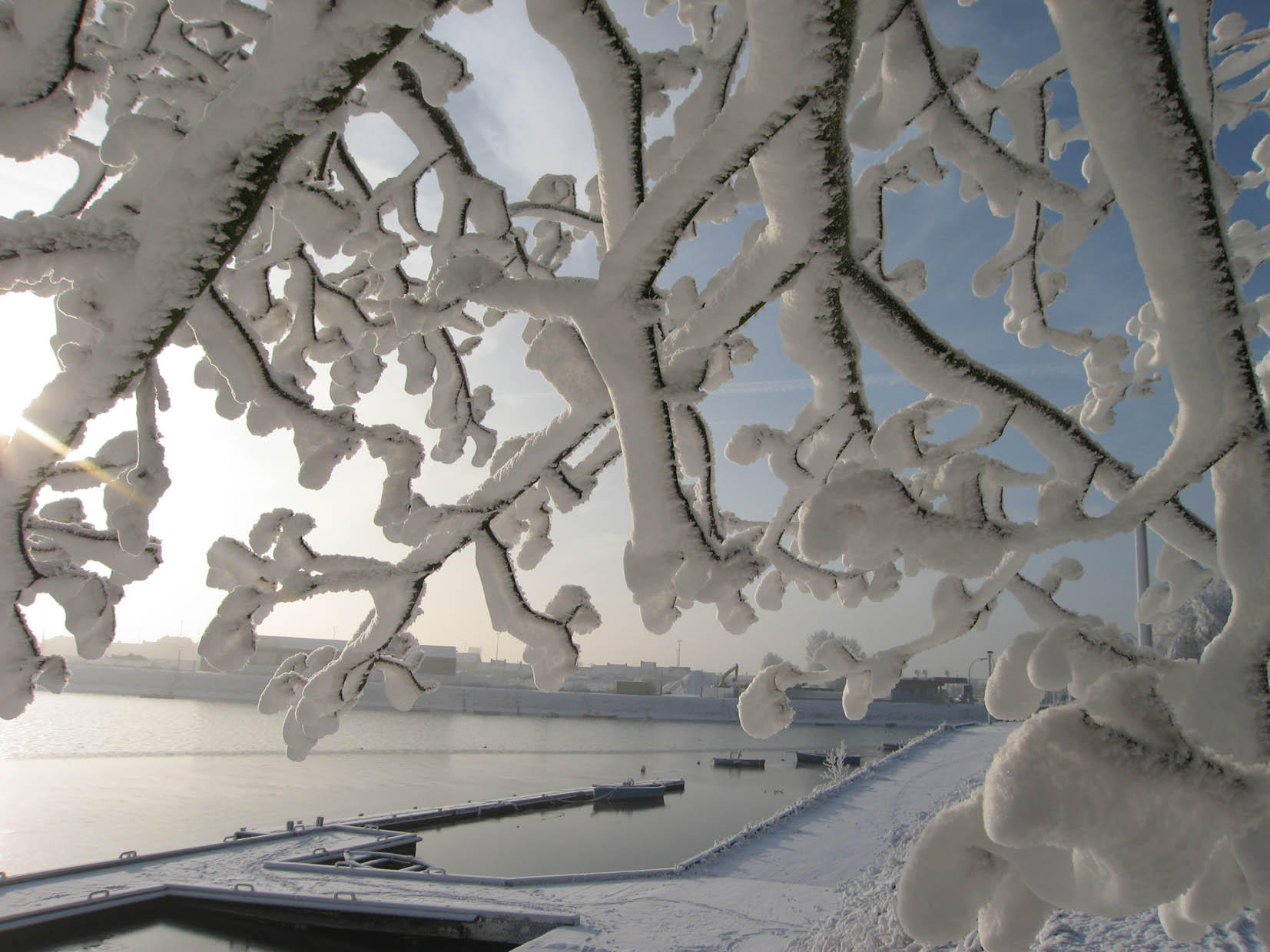 winter Foto winter