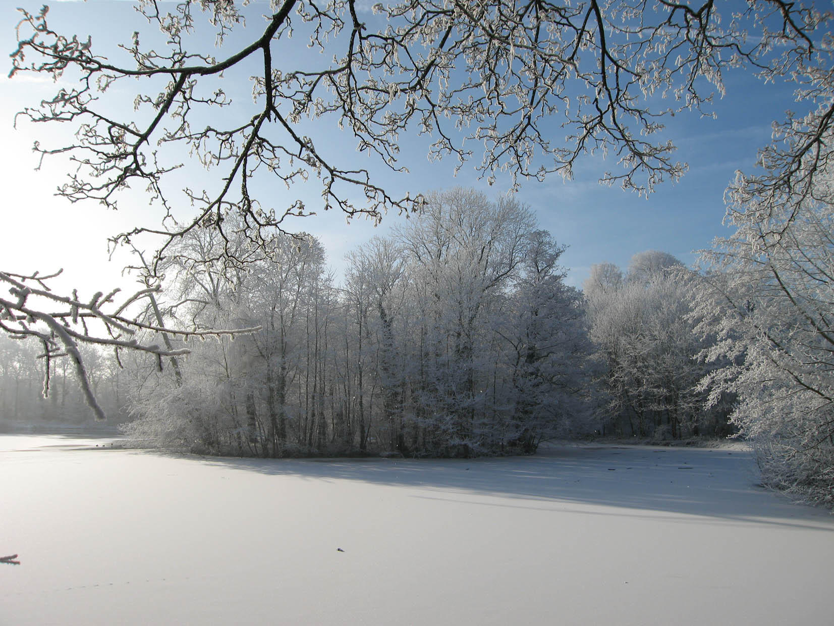 winter Foto winter