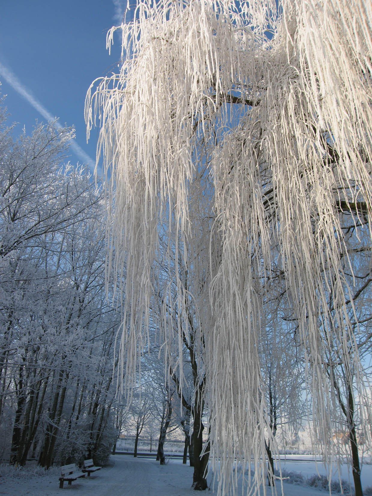 winter6 Foto winter6