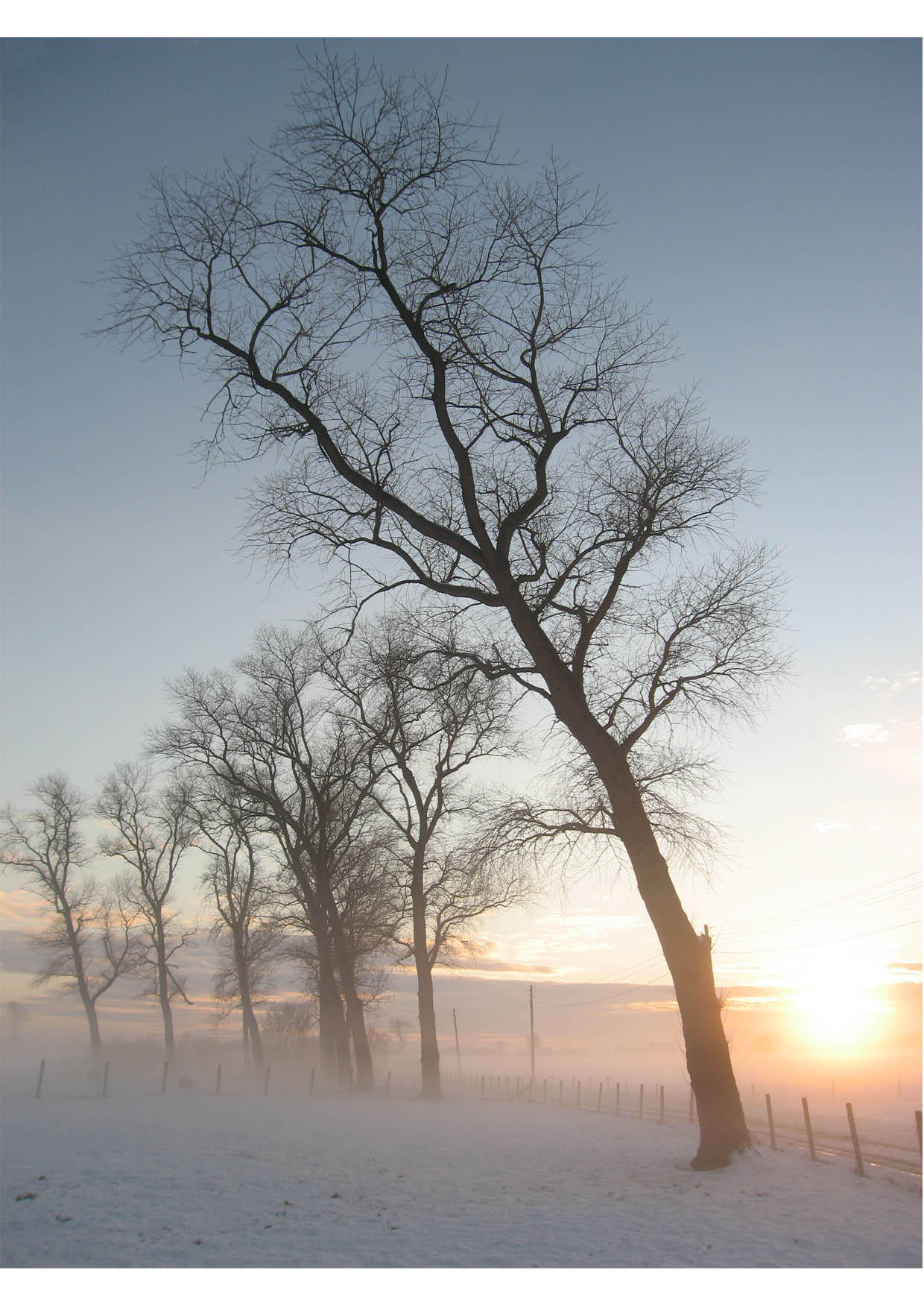 winterlandschap Foto winterlandschap
