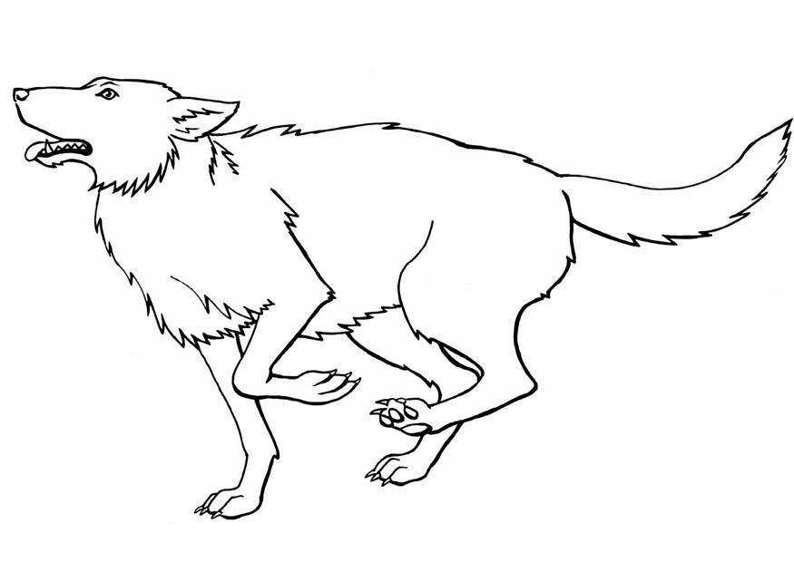 wolf Kleurplaat wolf