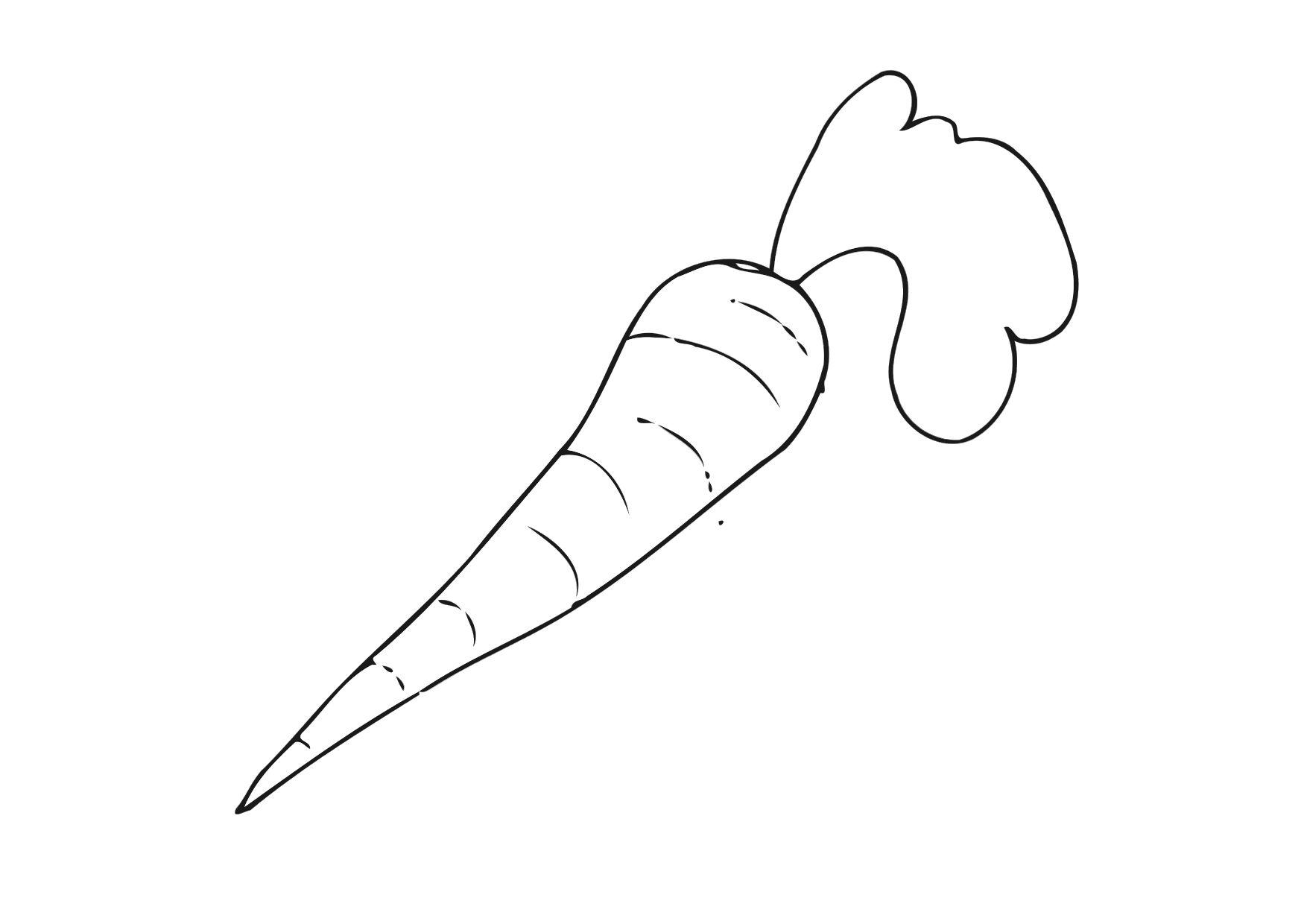 wortel Kleurplaat wortel