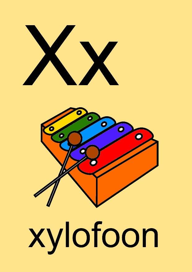 x Afbeelding x