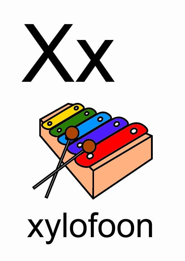 x Afbeelding x