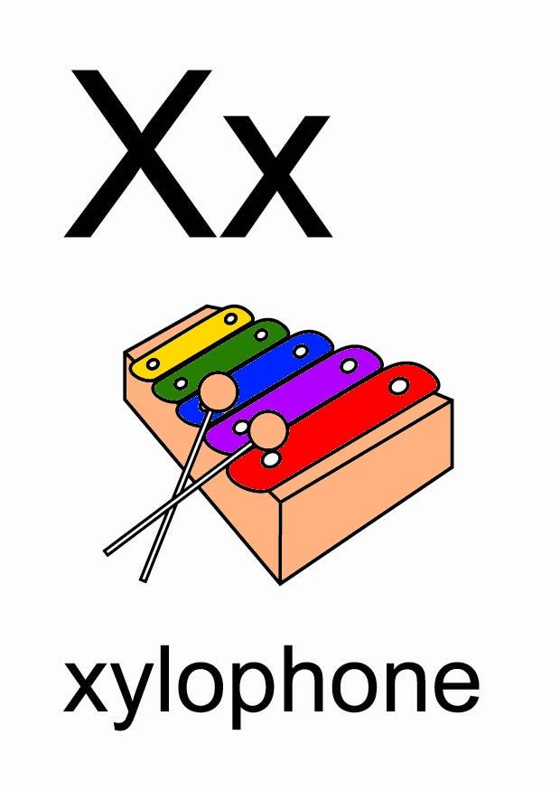 x Afbeelding x