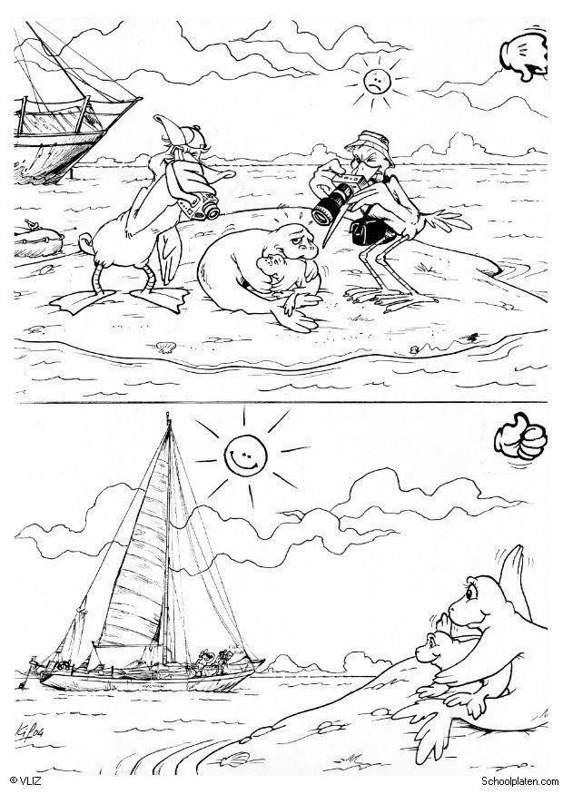 zeehond Kleurplaat zeehond