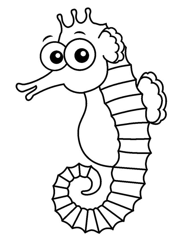 zeepaardje Kleurplaat zeepaardje