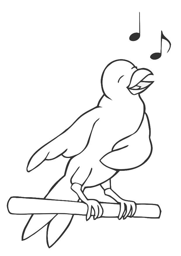 zingende vogel Kleurplaat zingende vogel
