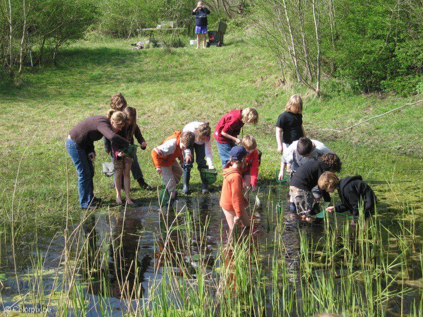 zoeken in waterplas Foto zoeken in waterplas