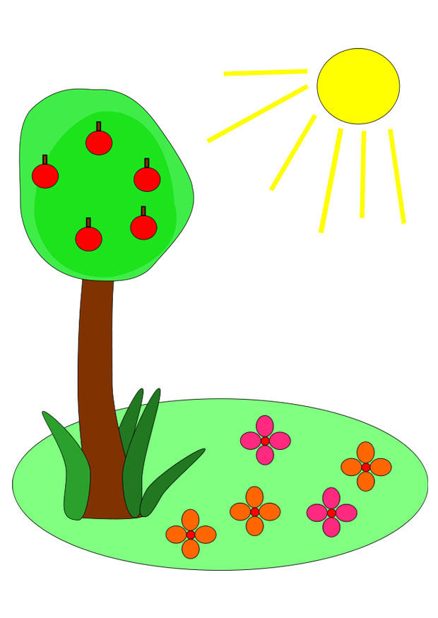 zomer Afbeelding zomer