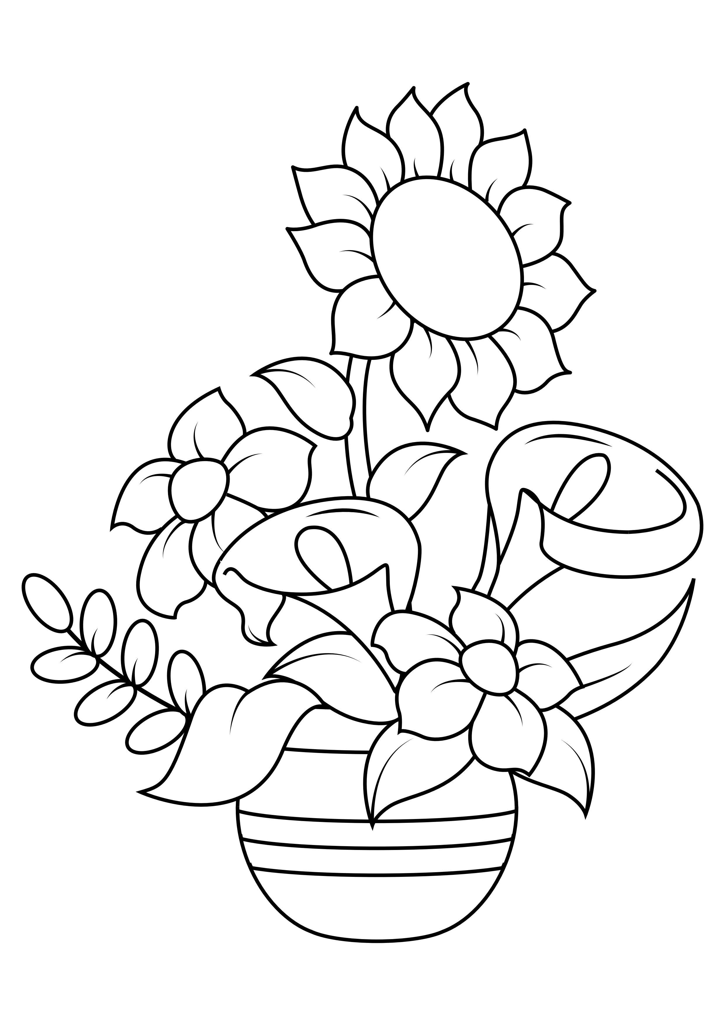 zonnebloem Kleurplaat zonnebloem