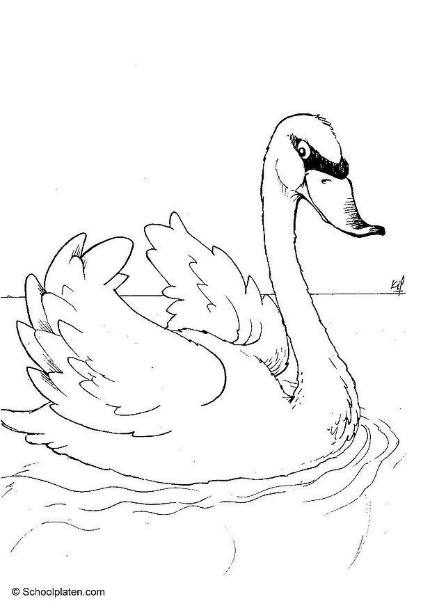 zwaan Kleurplaat zwaan