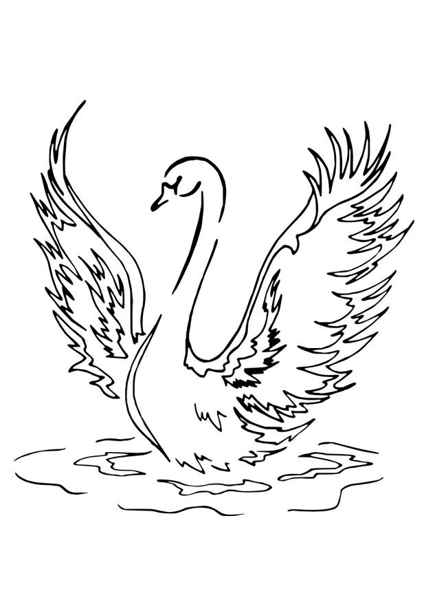 zwaan Kleurplaat zwaan