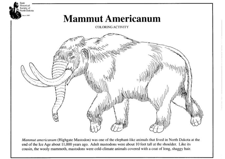 Kleurplaat Amerikaanse Mammoet