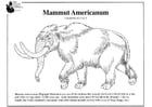 Kleurplaten Amerikaanse Mammoet