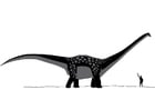 Antarctosaurus