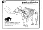 Kleurplaat Mastodon