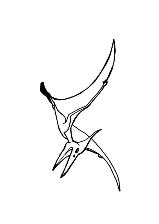 Pterosaurus