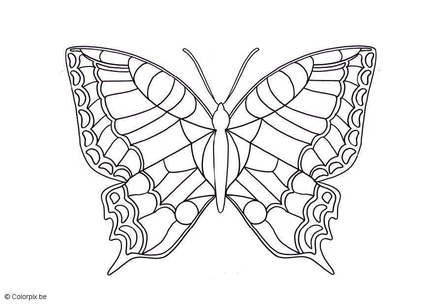 Kleurplaat Vlinder
