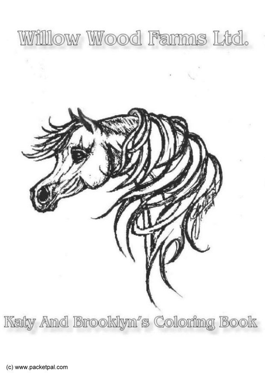 Kleurplaat Willow Wood Farm Coloring Book