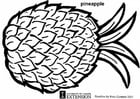 Kleurplaat ananas