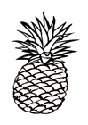 Kleurplaat ananas