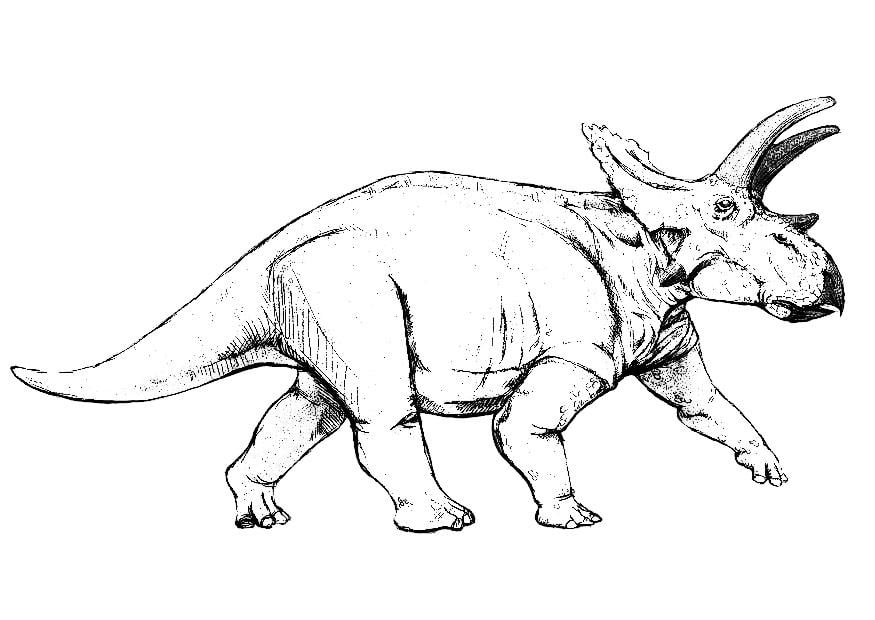 Kleurplaat anchiceratops dinosaurus