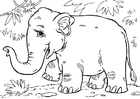 Kleurplaten Aziatische olifant