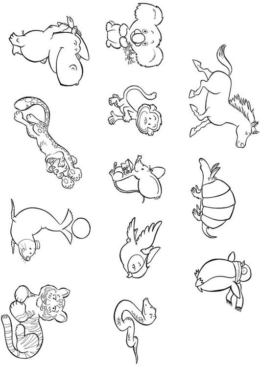 baby dieren