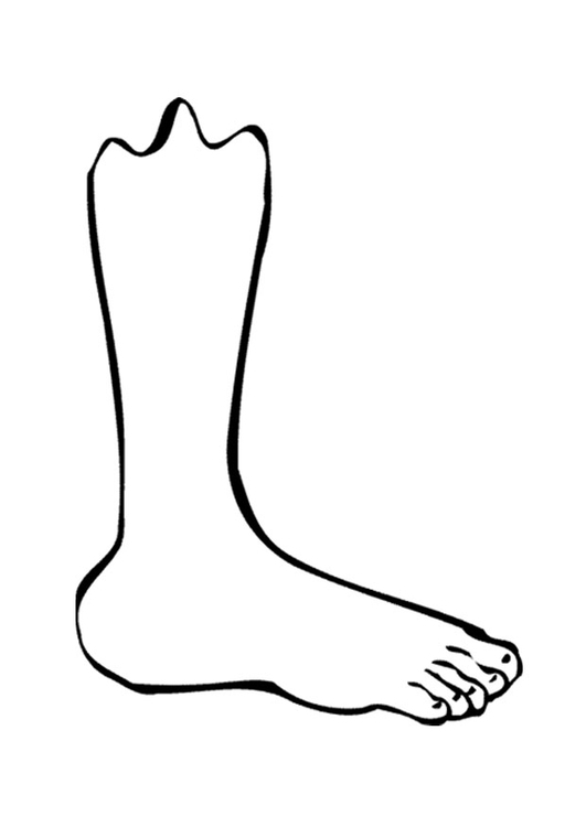 Kleurplaat been / voet