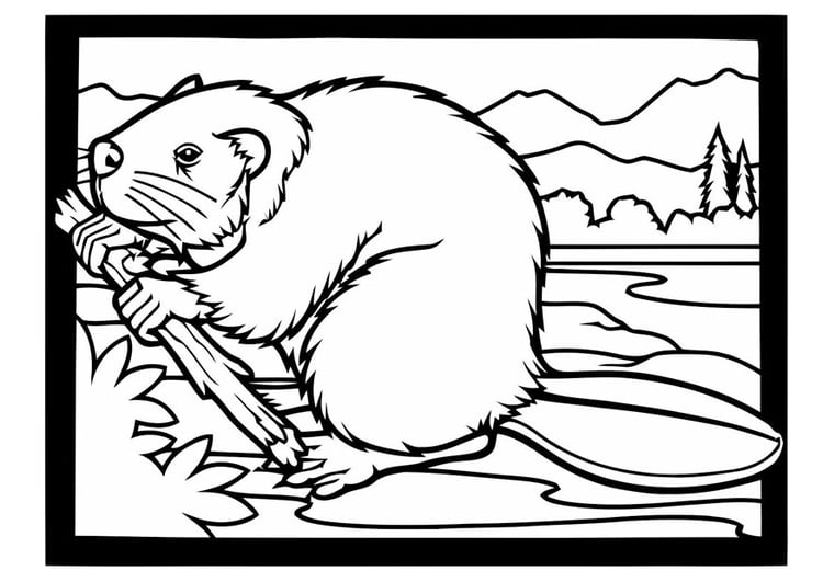 Kleurplaat bever met tak