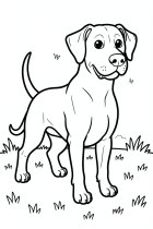 blije hond